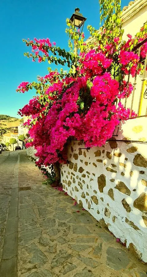 Preciosa Casa De Pueblo Entre Ronda Y Setenil La Posada De Catalina Montecorto